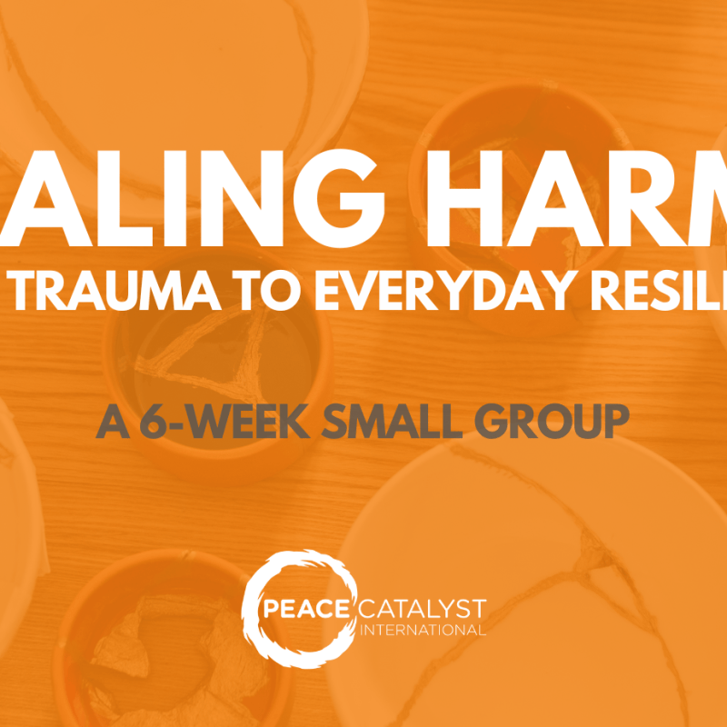 Healing Harms: From Trauma to Everyday Resilience (online small group), Sept-Oct&nbsp;2026