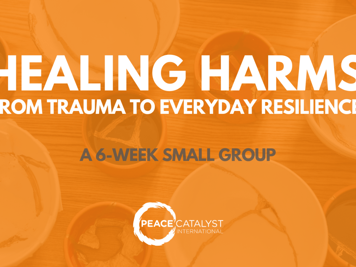 Healing Harms: From Trauma to Everyday Resilience (online small group), Sept-Oct&nbsp;2026