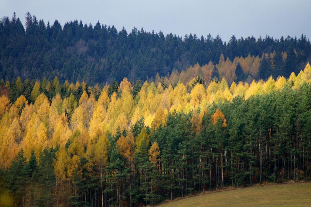 Korea Peace Study Group: Gender & Korean Nationalism, 11/14 @ 8 pm&nbsp;ET