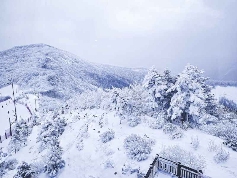 Dangerous Women Part 2, 12/12 @ 8 pm&nbsp;ET