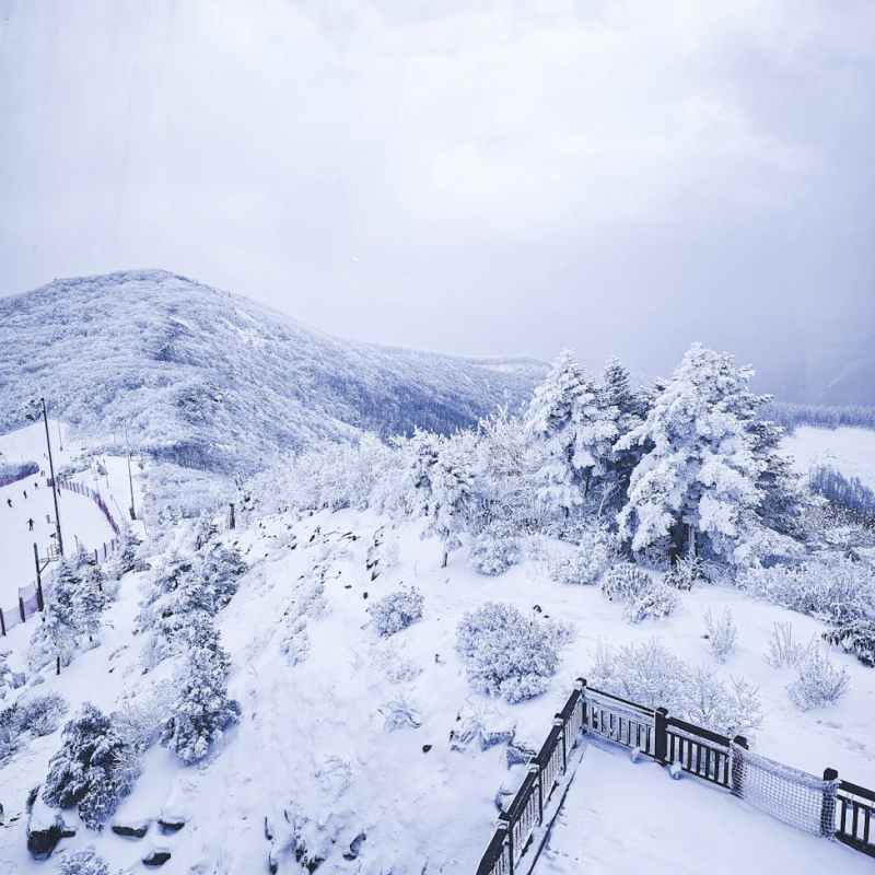 Dangerous Women Part 2, 12/12 @ 8 pm&nbsp;ET