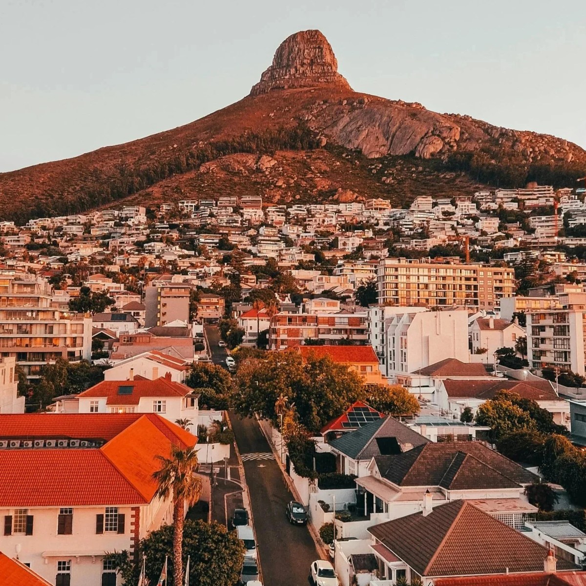 South Africa Study Trip, Aug 8-22 / Apply by&nbsp;3/10