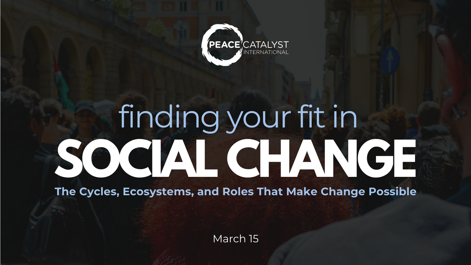 Finding Your Fit in Social Change: Cycles, Ecosystems & Roles Making ...