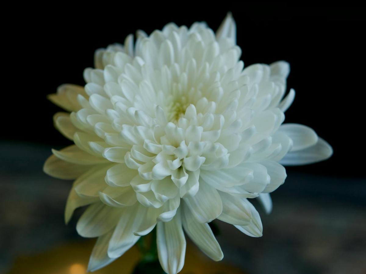 In Memory of Helen&nbsp;Kim